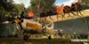 A small airplane is parked in a jungle clearing, with people around it and flames on top of the wings. Produktbild-Vorschau