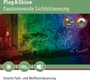 Paulmann Plug & Shine LED Gartenstrahler Pike Einzelspot Anteprima dell’immagine prodotto 6