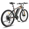 Fafrees Hailong 26 Zoll E-bike 36V 13,5 Ah Lithium Akku Produktbild-Vorschau 4