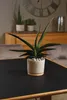 Blumentopf Soendgen Paros Deluxe Keramik Holz Ø 23 cm H 20 Produktbild-Vorschau 2