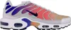 Nike Air Max Plus TN DZ3670 003 Platinum Tint/Black 39 Produktbild-Vorschau 1