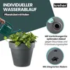 Kreher® XL Pflanzkübel / Pflanztopf „LIKE“ Ø58xH51 cm - Produktbild-Vorschau 6