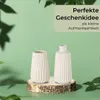 TOPANBIETER 999 Porzellan Vase 2er-Set beige matt Produktbild-Vorschau 5