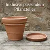 Teramico Blumentopf Terracotta "Doppio Bordo" frostfest Produktbild-Vorschau 5