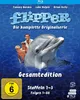 Flipper Gesamtedition - Die komplette Originalserie Produktbild-Vorschau 1