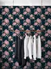 Coloray Fototapete 250x250 cm Latextapete Magicstick - Produktbild-Vorschau 1