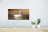 MuchoWow® Poster Ente - Vogel - Wasser - Weiß 40x20 cm - Produktbild-Vorschau 5