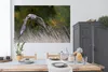 MuchoWow® Poster Ein Bussard im Tiefflug über herbstlich Produktbild-Vorschau 3