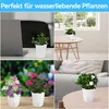 A collage of four images showing white self-watering plant pots in different settings, including on a desk with a laptop, on a coffee table by a window, and outdoors with flowers. Produktbild-Vorschau