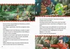 Pokémon Vorlesegeschichten Produktbild-Vorschau 2