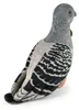 Peluche Pigeon 22 Cm Ecologique Voir les images du produit 4