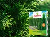 Thuja Dünger Spezialdünger Für Lebensbaum Zypressen Produktbild-Vorschau 6
