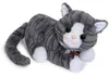 Zapf Creation BABY born My cat Cookie z pudełkiem Podgląd zdjęcia produktu 3