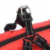 Hundemantel mit Geschirr Wasserdicht Reflektierend Rot L44 Produktbild-Vorschau 9