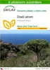 SAFLAX - dračí strom - Dracaena Draco - 5 Semena - S Náhled obrázku produktu 1