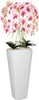 A white planter with a tall arrangement of pink and white orchids. Náhled obrázku produktu