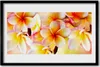 Bild 60x40 MDF-Rahmen Wandkunst Blumen Pflanzen Natur Produktbild-Vorschau 1