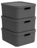 Rotho Aufbewahrungsbox 3er-Set 20 l Albula Light – Produktbild-Vorschau 1