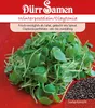 Dürr-Samen - Winterpostelein - Saatgut - 1909 Produktbild-Vorschau 3