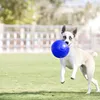 Jolly Hundespielzeug Fußball blau, Größe: L Produktbild-Vorschau 5