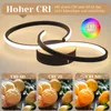 A modern black ceiling lamp with two intertwined rings, showcasing its CRI (Color Rendering Index) feature with comparative images of fruit under different CRI levels. Voir les images du produit