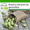 SAFLAX - BIO - Růžičková kapusta - Groninger - Brassica Náhled obrázku produktu 10