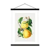 MuchoWow® Textilposter Birne - Obst - Vintage 60x80 cm mit Produktbild-Vorschau 1
