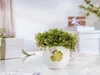Villeroy & Boch With Love Henkelbecher Good Luck 290 ml Produktbild-Vorschau 3
