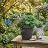 Kunststoff-Gartentopf schwarz rund 39 cm Produktbild-Vorschau 13