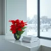 A poinsettia plant and folded towels on a windowsill with a snowy outdoor scene visible through the window. Voir les images du produit