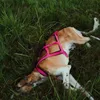 Dingo Hundegeschirre Sled Große L Farbe Rosa Zuggeschirr Produktbild-Vorschau 15
