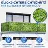 Balkonsichtschutz mit Efeu-Muster, 5 m x 85 cm Produktbild-Vorschau 8