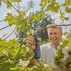 Sécateur AssistCut à lames franche Voir les images du produit 44