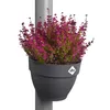 elho® Vibia campana Fallrohr Pflanzgefäß Anthrazit 22 cm - Produktbild-Vorschau 10