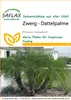SAFLAX - Zwerg - Dattelpalme - Phoenix roebelenii - 25 Produktbild-Vorschau 10