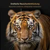 A split image of a tiger's face, with the left side showing a noisy, grainy image and the right side showing a clear, sharp image, demonstrating noise reduction. Produktbild-Vorschau