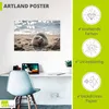 ARTland Poster Baby-Robbe am Strand von List, Sylt Größe: Produktbild-Vorschau 3