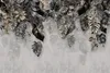 Selbstklebende Fototapete tropische BLÄTTER Pflanzen Natur Produktbild-Vorschau 1
