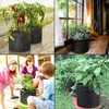 4 sázecí pytle z geotextilie, 5galonové sázecí pytle z Náhled obrázku produktu 4
