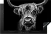 KitchenYeah© Herdabdeckplatte Schottischer Highlander - Produktbild-Vorschau 1