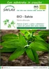 SAFLAX  -- Salvia - 60 semi - Con substrato - Salvia Anteprima dell’immagine prodotto 1