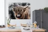 MuchoWow® Poster Schottischer Highlander - Tiere - Farbe Produktbild-Vorschau 3