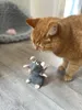 An orange cat is looking down at a small plush toy rat on a wooden floor. A grey cat bed is in the background. Produktbild-Vorschau