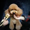 Profi Schermaschine Hunde Tierhaarschneidemaschine Leise Produktbild-Vorschau 4