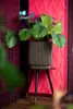A plant in a decorative pot on a stand, placed in a corner with textured walls. Produktbild-Vorschau