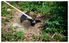 Parkside Benzin Sense Freischneider Rasentrimmer Produktbild-Vorschau 10