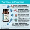 DR WAKDE'S Punarnava Kapseln (Boerhavia diffusa) | 60 Vegi Produktbild-Vorschau 8