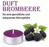 Duft-Teelichter 54er Pack – Duft Brombeere, ca. 4 Stunden Produktbild-Vorschau 2