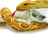 Goldpython HONEY Albino Schlange Plüschschlange Python gelb Produktbild-Vorschau 1