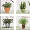ARTland Leinwandbilder Set, 4tlg. Lavendel, Rosmarin, Produktbild-Vorschau 1